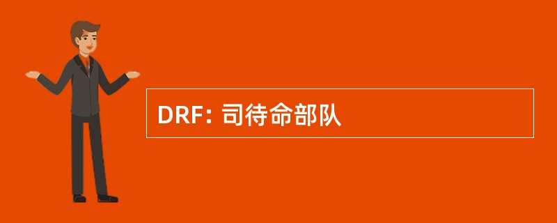 DRF: 司待命部队