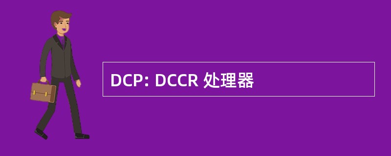 DCP: DCCR 处理器