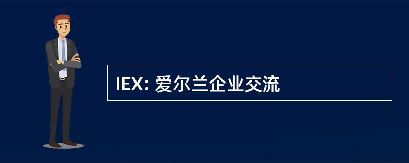 IEX: 爱尔兰企业交流