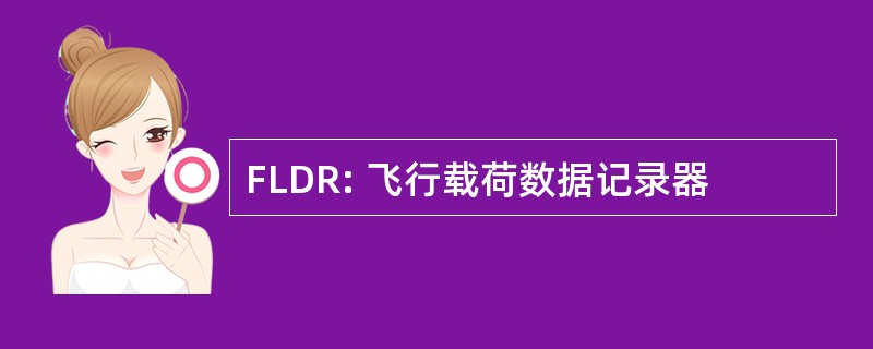 FLDR: 飞行载荷数据记录器