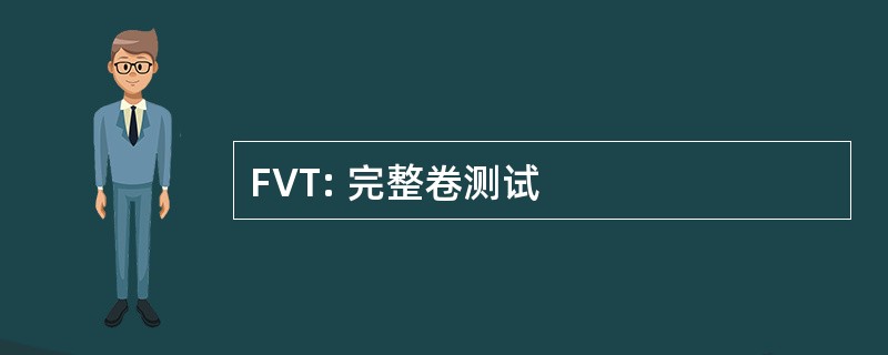 FVT: 完整卷测试