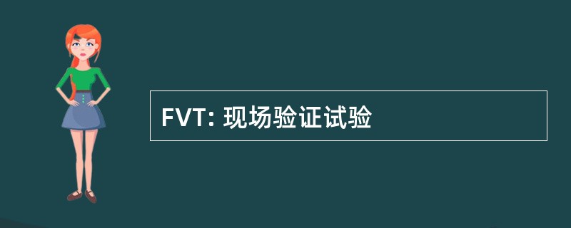 FVT: 现场验证试验