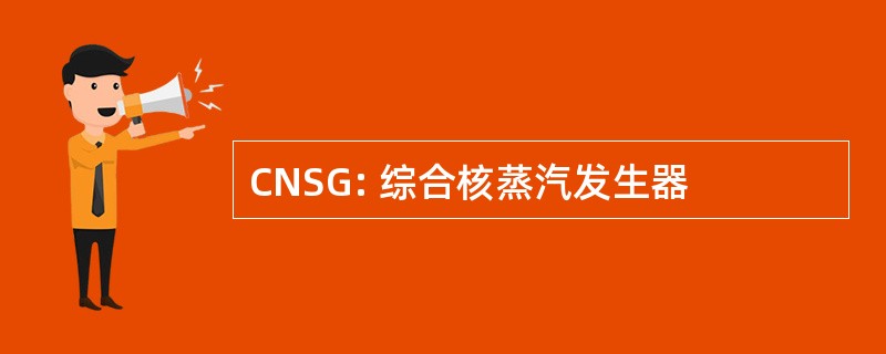 CNSG: 综合核蒸汽发生器