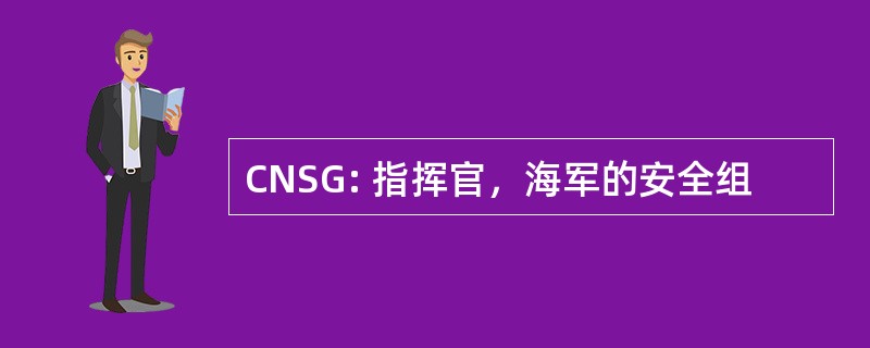 CNSG: 指挥官，海军的安全组