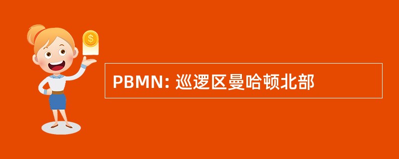 PBMN: 巡逻区曼哈顿北部