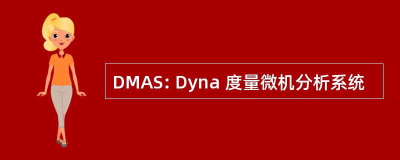 DMAS: Dyna 度量微机分析系统