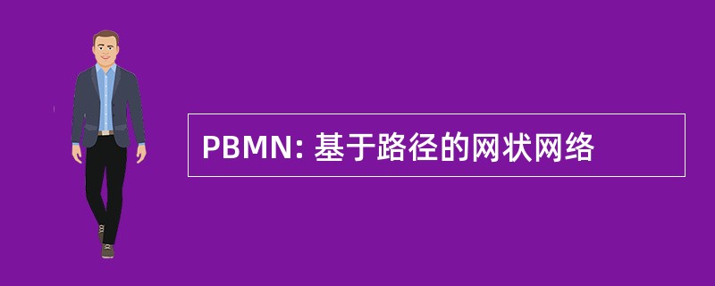 PBMN: 基于路径的网状网络