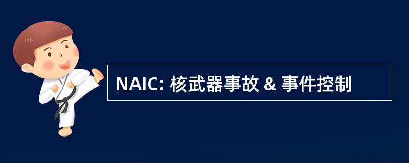 NAIC: 核武器事故 & 事件控制