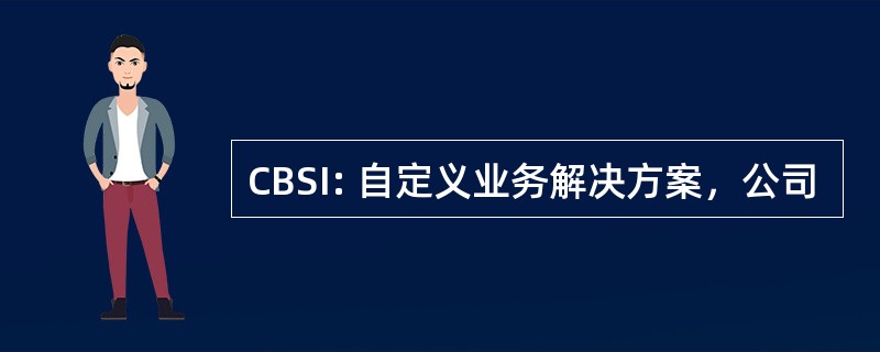 CBSI: 自定义业务解决方案，公司