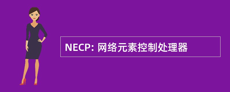 NECP: 网络元素控制处理器