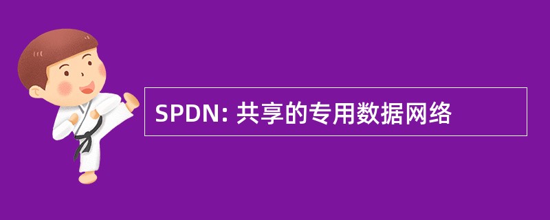 SPDN: 共享的专用数据网络