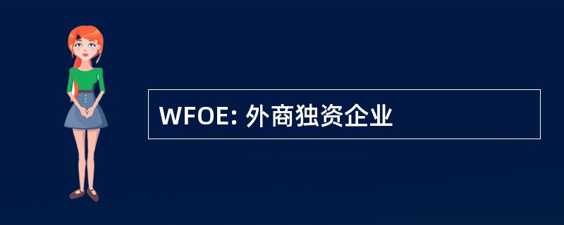 WFOE: 外商独资企业