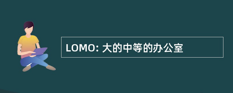 LOMO: 大的中等的办公室