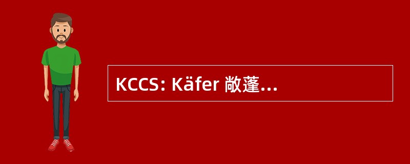 KCCS: Käfer 敞蓬车俱乐部佩斯达罗齐