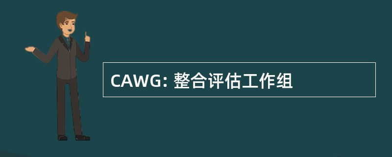 CAWG: 整合评估工作组