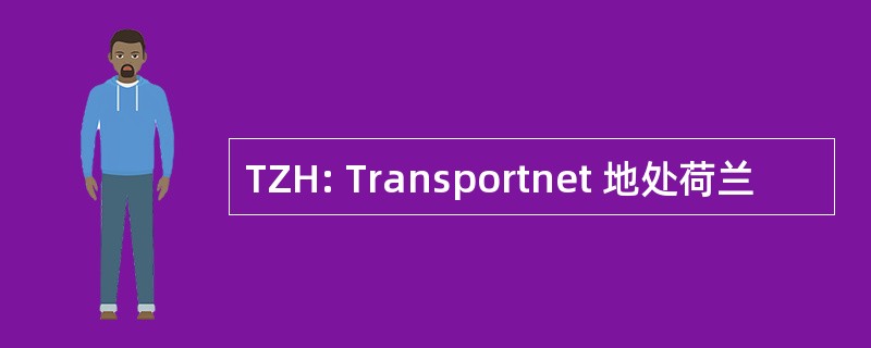 TZH: Transportnet 地处荷兰