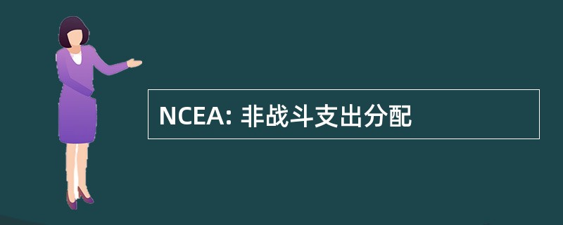 NCEA: 非战斗支出分配