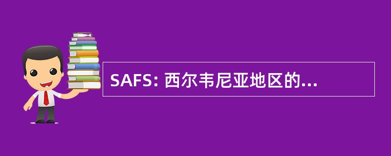 SAFS: 西尔韦尼亚地区的家庭服务公司。