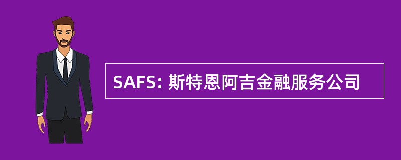 SAFS: 斯特恩阿吉金融服务公司