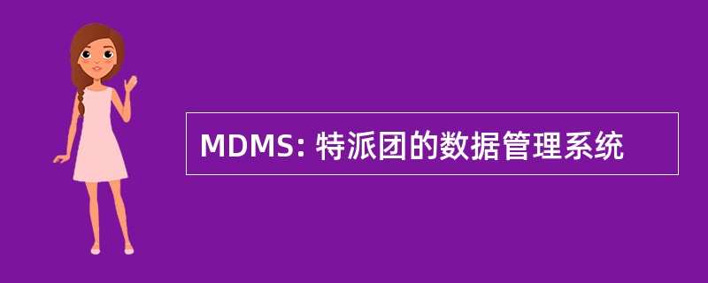 MDMS: 特派团的数据管理系统