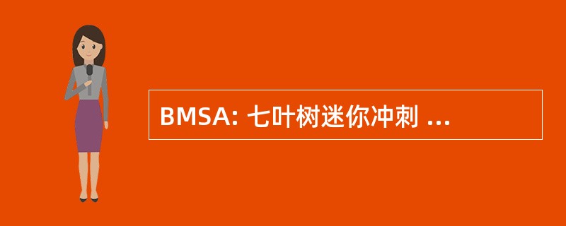 BMSA: 七叶树迷你冲刺 (sprint) 协会