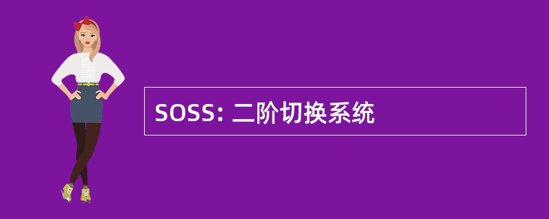 SOSS: 二阶切换系统