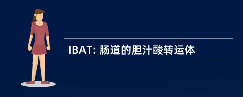 IBAT: 肠道的胆汁酸转运体