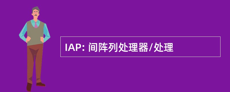 IAP: 间阵列处理器/处理