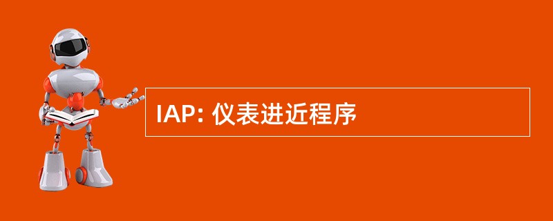 IAP: 仪表进近程序