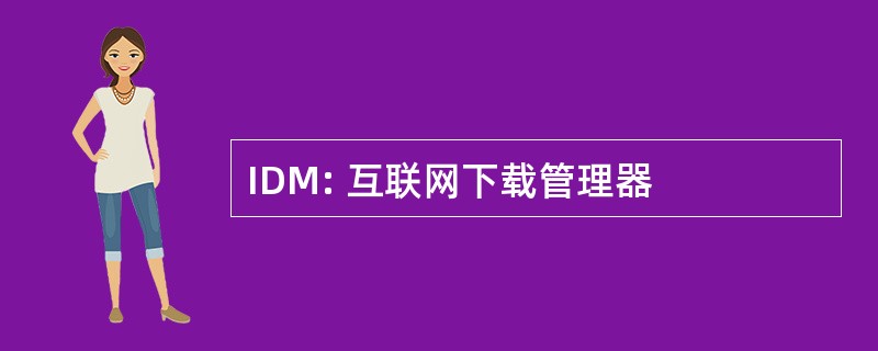 IDM: 互联网下载管理器