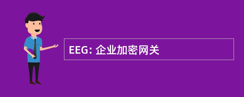 EEG: 企业加密网关