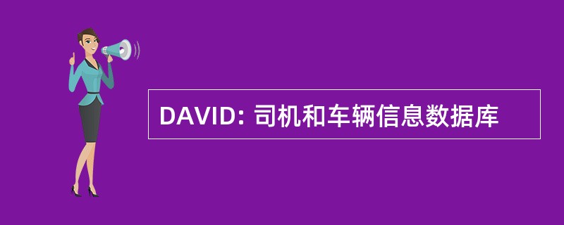 DAVID: 司机和车辆信息数据库