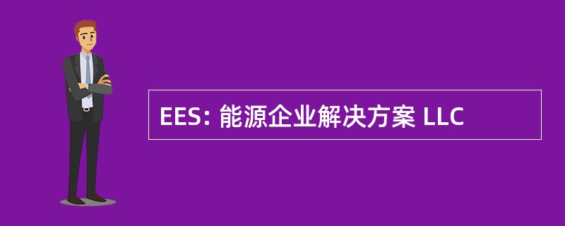 EES: 能源企业解决方案 LLC