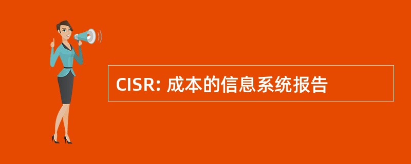 CISR: 成本的信息系统报告