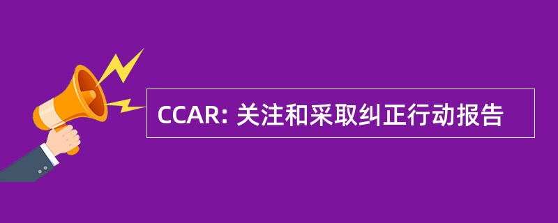 CCAR: 关注和采取纠正行动报告