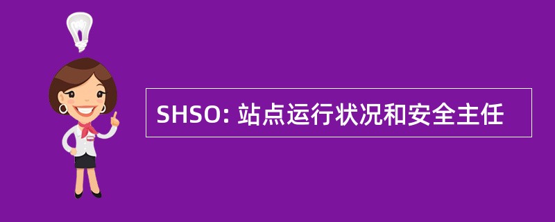 SHSO: 站点运行状况和安全主任