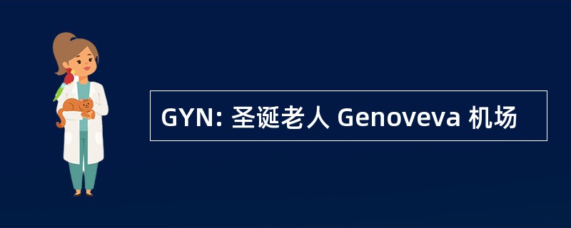 GYN: 圣诞老人 Genoveva 机场