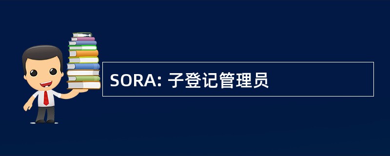 SORA: 子登记管理员