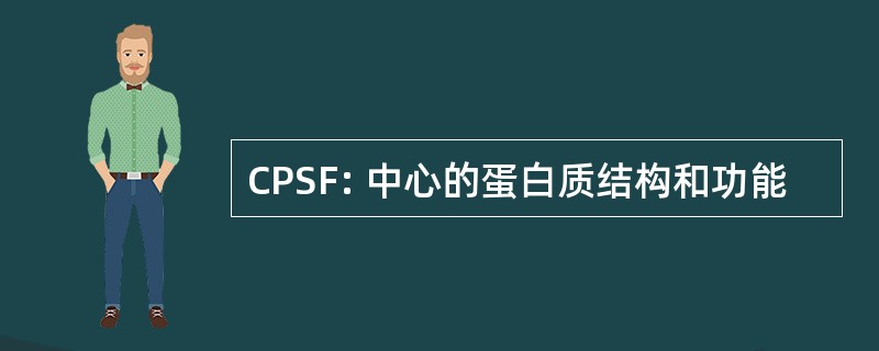 CPSF: 中心的蛋白质结构和功能