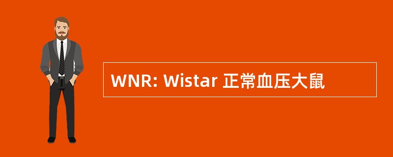 WNR: Wistar 正常血压大鼠