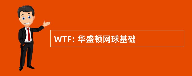 WTF: 华盛顿网球基础