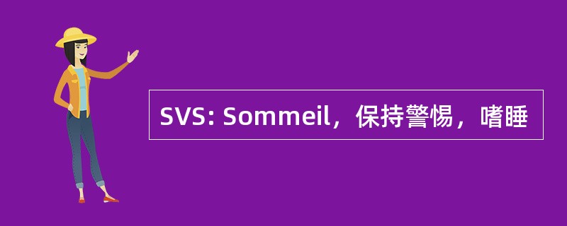 SVS: Sommeil，保持警惕，嗜睡