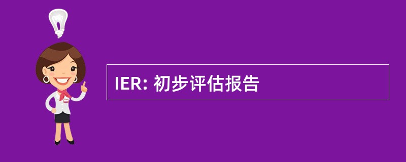 IER: 初步评估报告