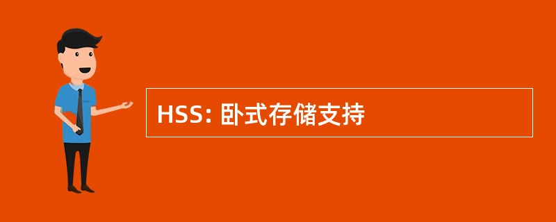 HSS: 卧式存储支持