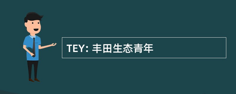 TEY: 丰田生态青年