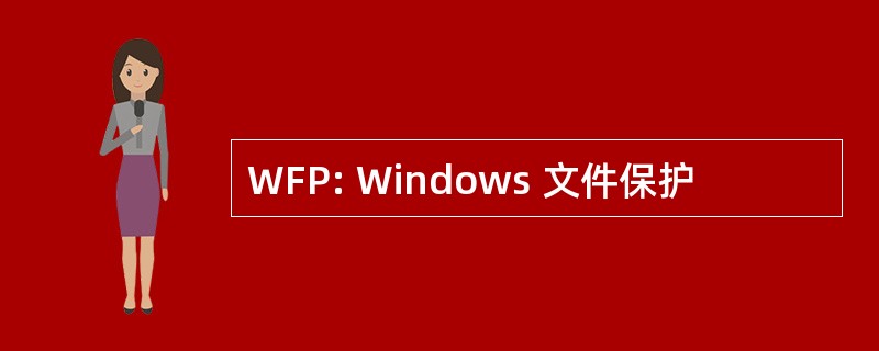 WFP: Windows 文件保护