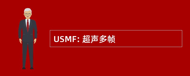 USMF: 超声多帧