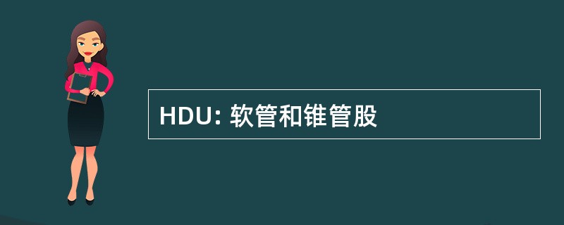 HDU: 软管和锥管股