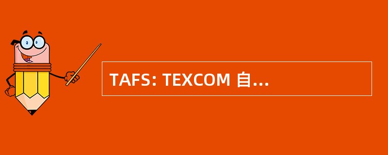 TAFS: TEXCOM 自动化领域为主的仪器仪表系统