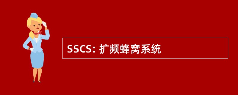 SSCS: 扩频蜂窝系统